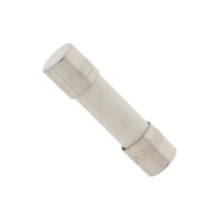 F  250 V 10 A 5x20 mm, в керамическом корпусе (аналог ВП2Б)