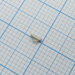 Светодиод smd 3,2х1мм/красный/631нм/60мкд - зеленый/574нм/50мкд/прозрачный/110° угловой