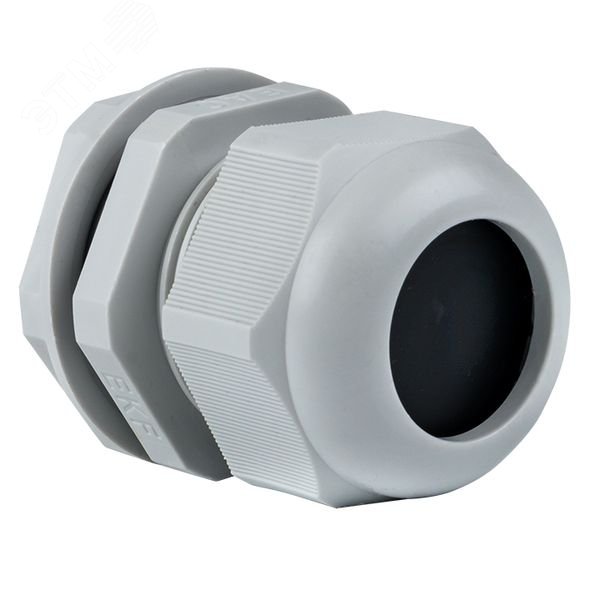 Сальник PG25 IP54 plc-pg-25